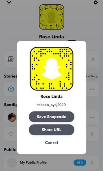 2679370705, female escort, Pittsburgh